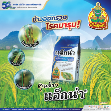 Artboard 1 copy 4AW แอ็กน่า AG ปี68 Web